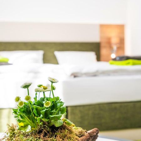 Hotel-Pension Treppengasse Nr 6 Алтенбург Екстериор снимка